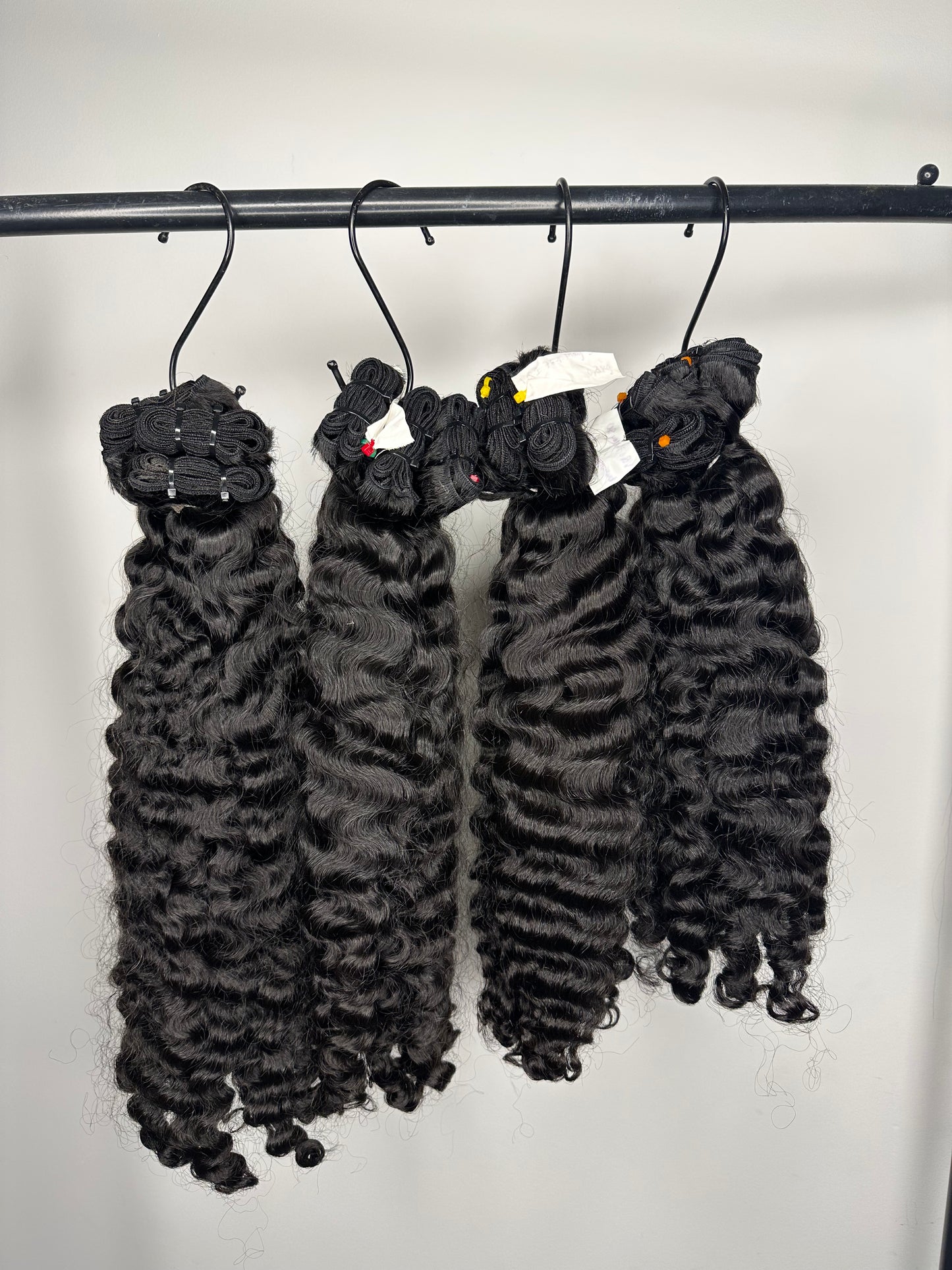 BURMESE CURLY 1 SINGLE DONOR